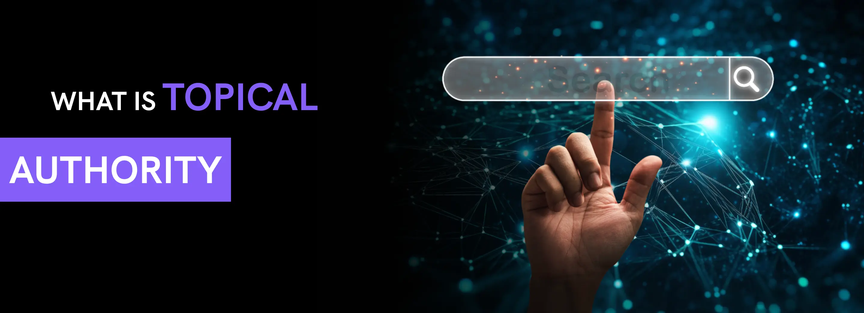Topical Authority SEO Optimization Banner