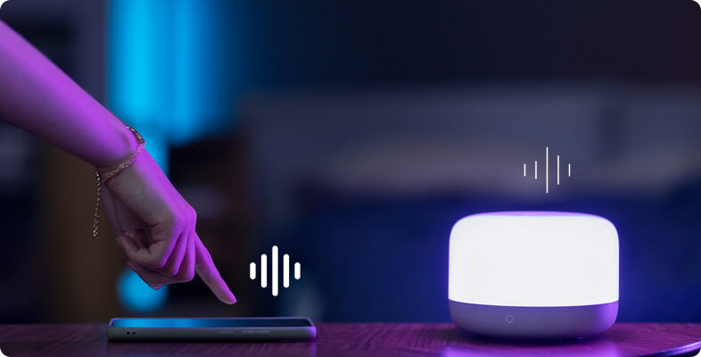Voice Search Optimization