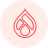Drupal Development