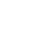 Website Audit