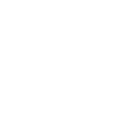 Website Audit