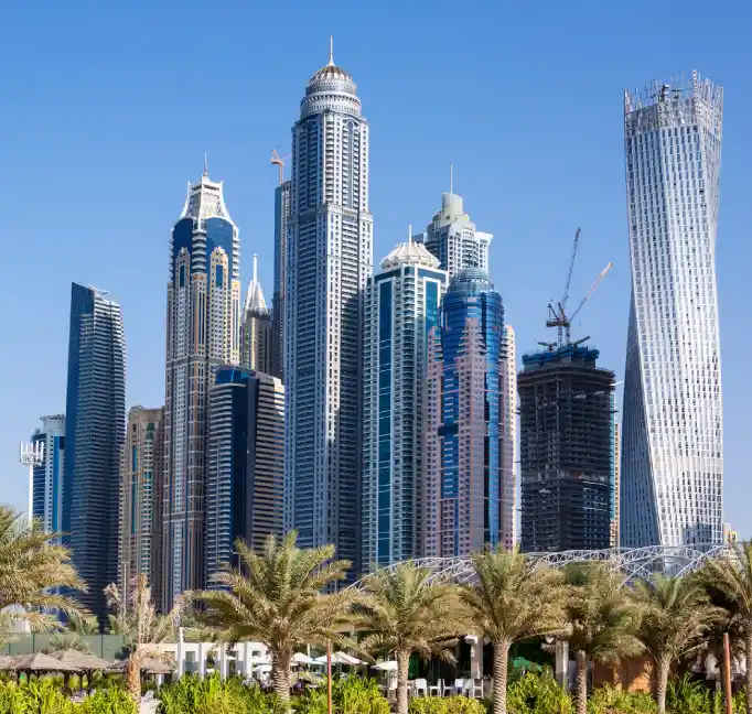 real estate website development agency dubai uae