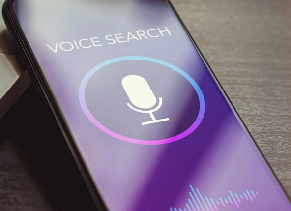 Voice Search